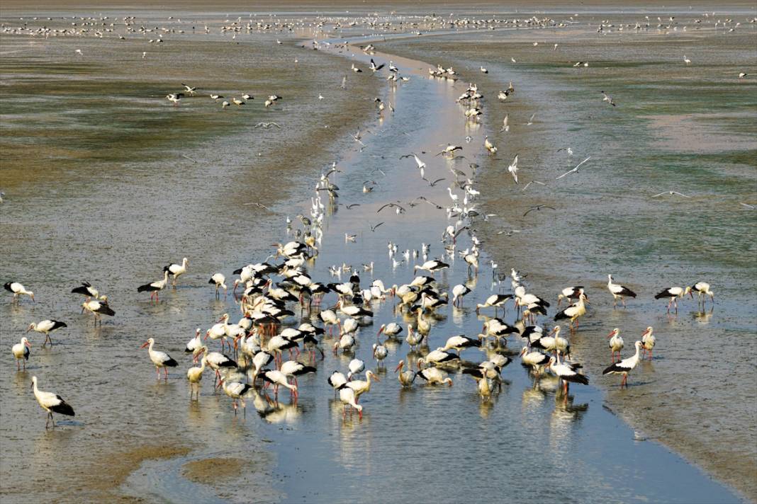 Gurbetçiler göç yolunda! Molayı Konya'da verdiler 6